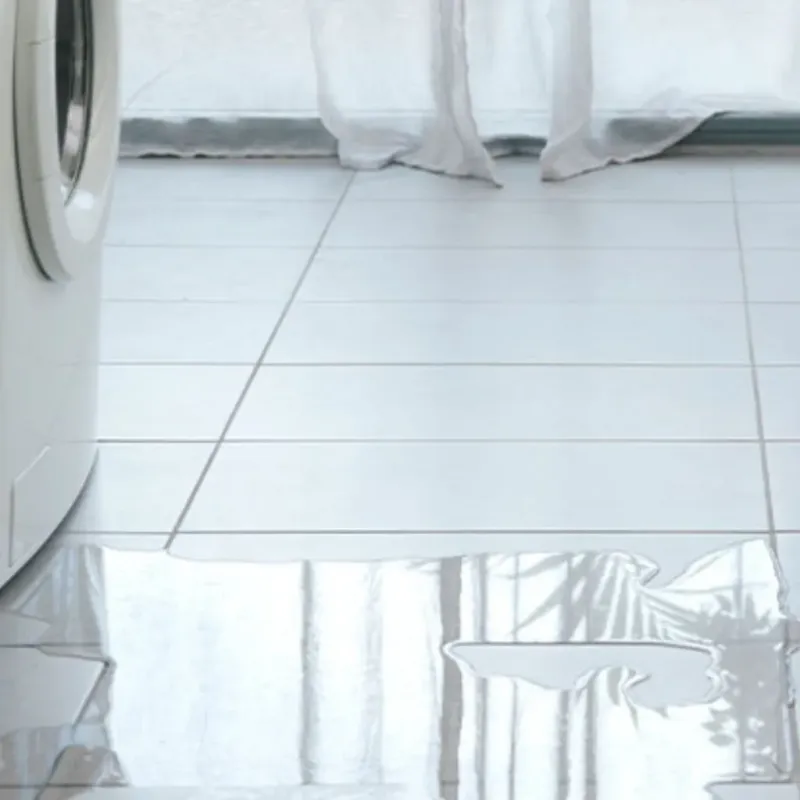 Appliance Leak Cleanup in Minot, ME