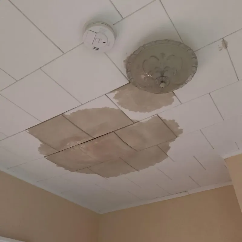 Ceiling Water Damage Repair in Minot, ME