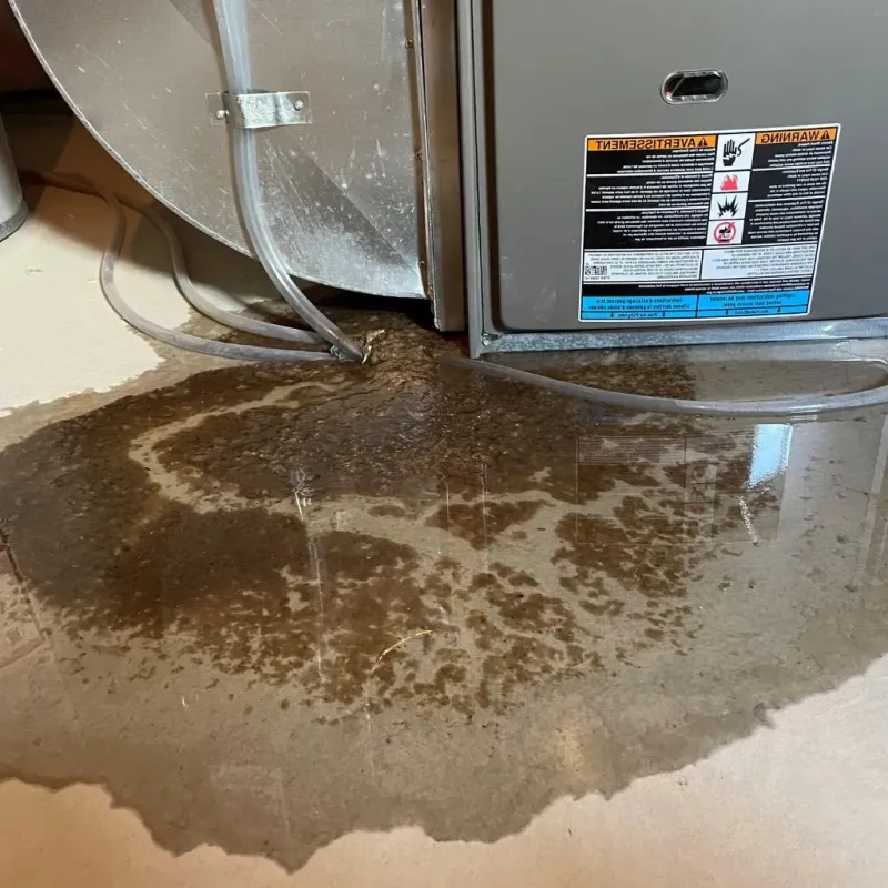 Pipe Burst and Leak Restoration in Minot, ME