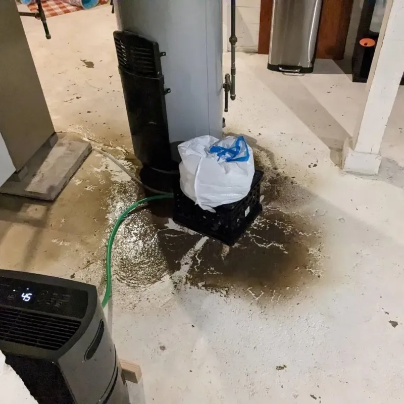 Sewage Backup Cleanup Service in Minot, ME